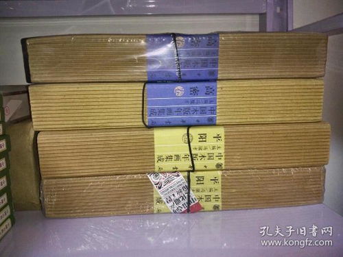 中国木版年画集成 平阳卷 平 装 带光盘 一版一印